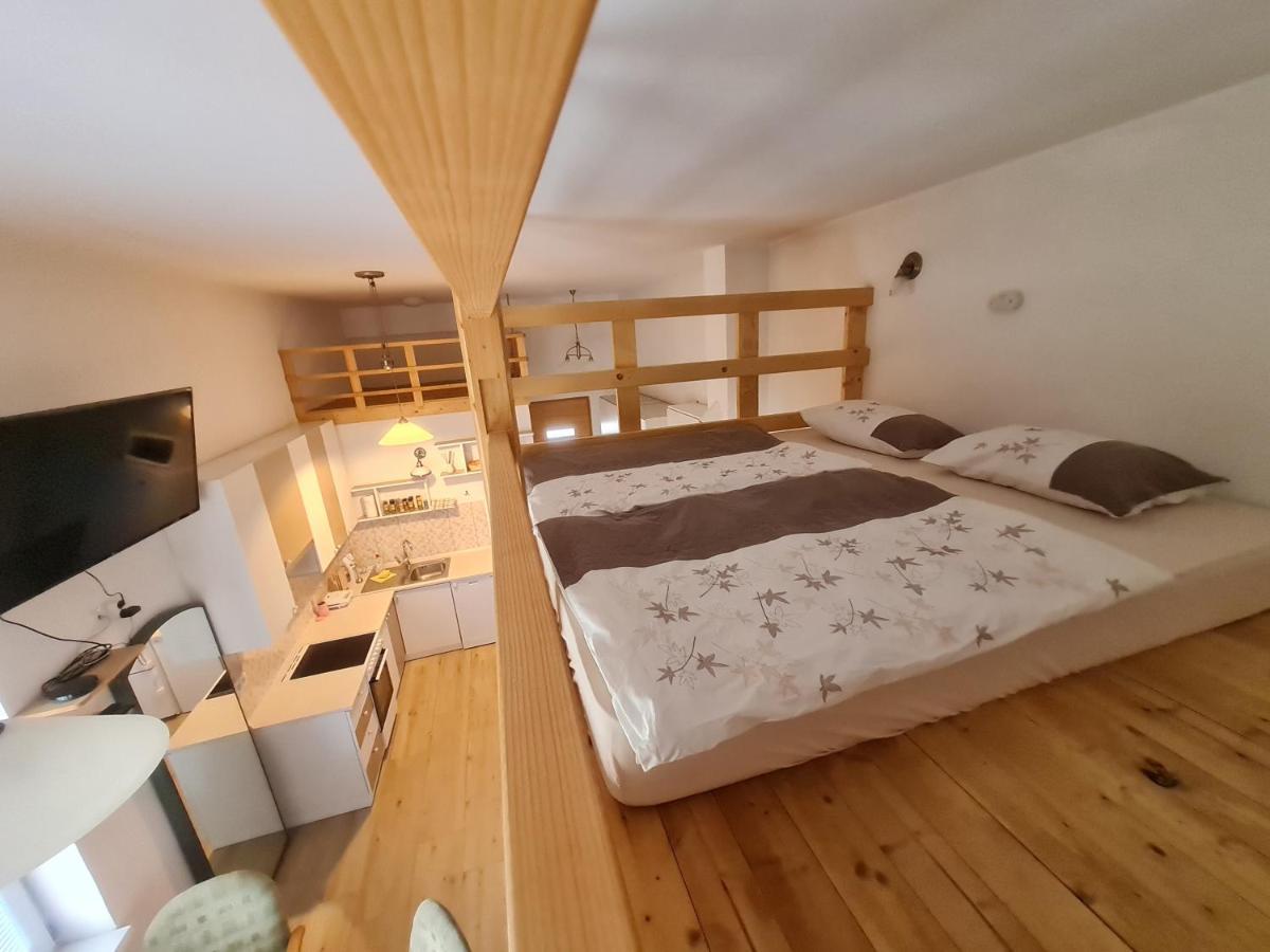 Apartma Ranc Luze Kranj Extérieur photo
